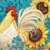 Dimensions 65130, Rooster