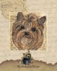 BK-535 Yorkshire Terrier - DMC.jpg