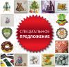 Специальное предложение лого.jpg
