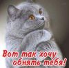 7018.jpg