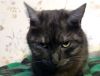 DSC01618_.thumb.jpg.726390d6923f0bd955b4bbbbc50ad30b.jpg