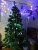 DSC01646_.jpg