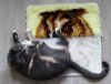 DSC01650_.jpg