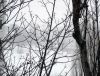 DSC01678_.jpg