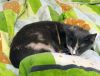 DSC01682_.jpg