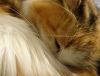 DSC01683_.jpg