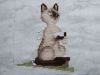 DSC01685_.thumb.jpg.a27eadd0295a6444bce6208c13f332f8.jpg