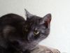 DSC01686_.jpg