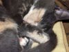 DSC01697_.jpg