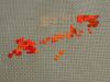 DSC01700_.jpg