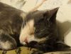 DSC01702_.jpg
