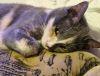 DSC01703_.jpg
