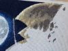 DSC01709_.jpg