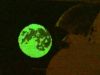 DSC01712_c.jpg
