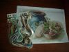DSC05849.JPG