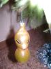 DSC07921a.jpg
