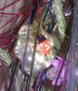 DSC07925a.jpg