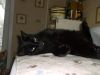 DSCF1047.JPG