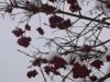DSCF1053.JPG