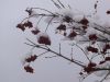 DSCF1054.JPG