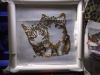 DSCF1071.JPG