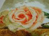 DSCN0433.JPG
