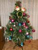 DSCN7138.JPG