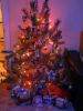 DSCN8487.JPG