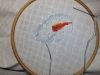 IMG-20170116-WA0002.jpg