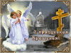 IMG_0307.GIF