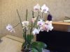 IMG_1065.JPG