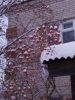 IMG_20170102_095210.jpg