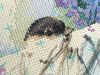 IMG_20170102_203207.jpg