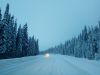 IMG_20170103_101346.jpg