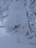IMG_20170103_121048.jpg