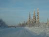 IMG_20170105_113547.jpg