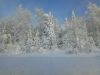 IMG_20170105_131837.jpg