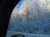 IMG_20170107_113234.jpg