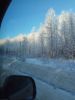 IMG_20170107_113513.jpg