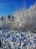 IMG_20170107_124532.jpg