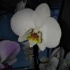 IMG_20170109_093449.jpg