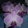 IMG_20170109_093526.jpg