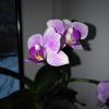 IMG_20170109_093729.jpg