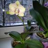 IMG_20170109_093919.jpg