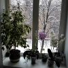 IMG_20170109_112311.jpg