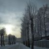 IMG_20170109_132551.jpg