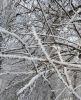 IMG_20170109_132849-1.jpg