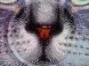 IMG_20170119_123322.jpg