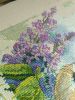 IMG_20170120_054142.jpg
