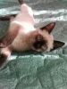 IMG_20170129_121921261.jpg
